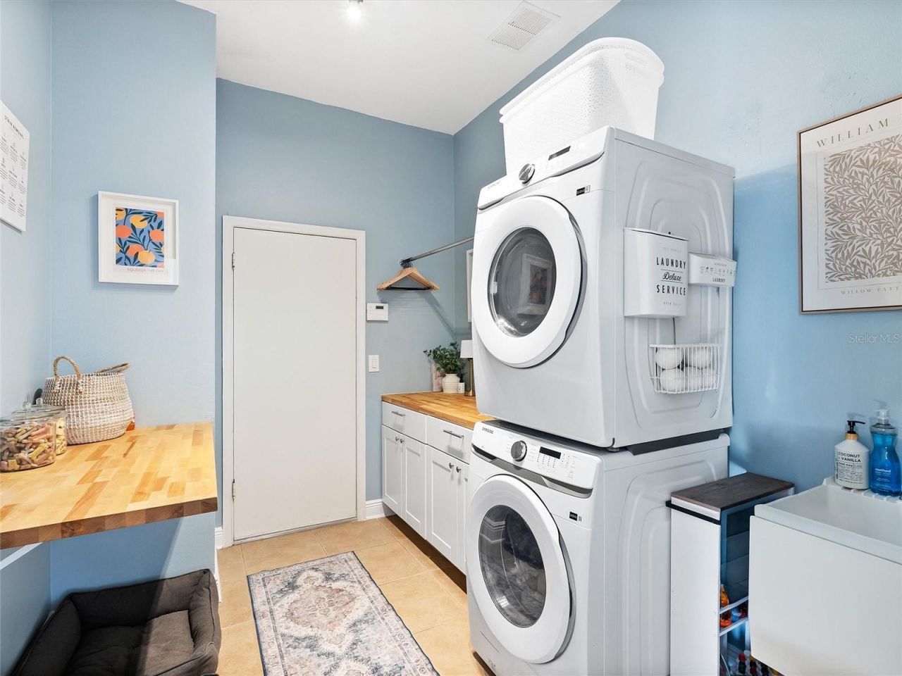 17420 Varona Place, Lutz, FL 33548 Photo