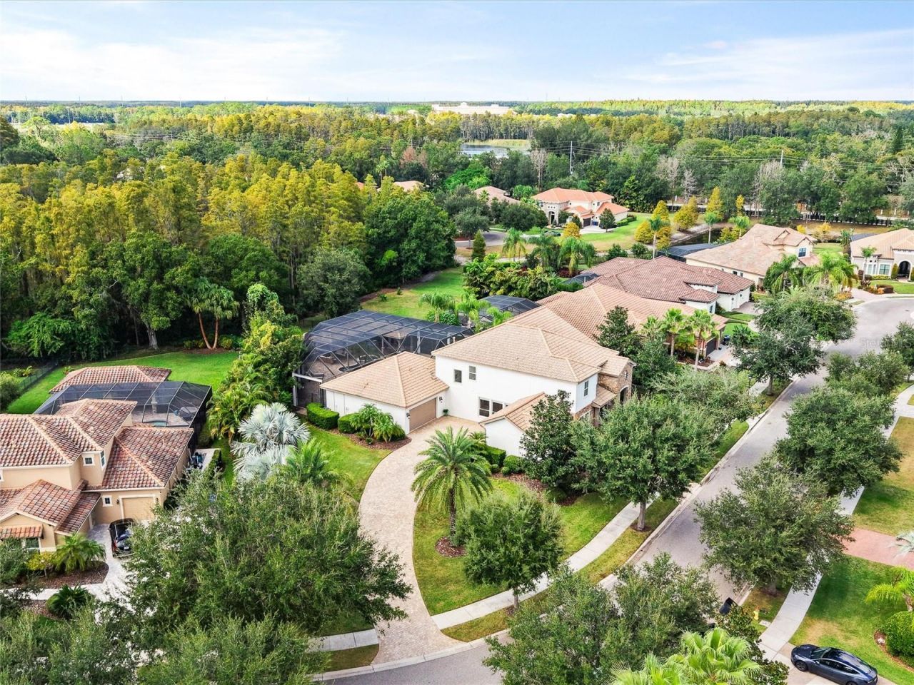 17420 Varona Place, Lutz, FL 33548 Photo