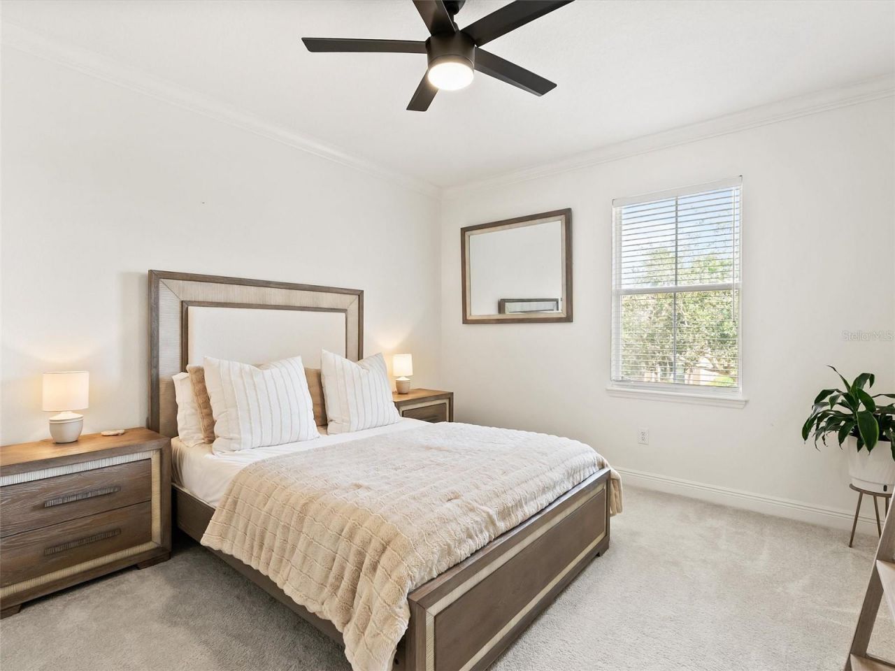 17420 Varona Place, Lutz, FL 33548 Photo