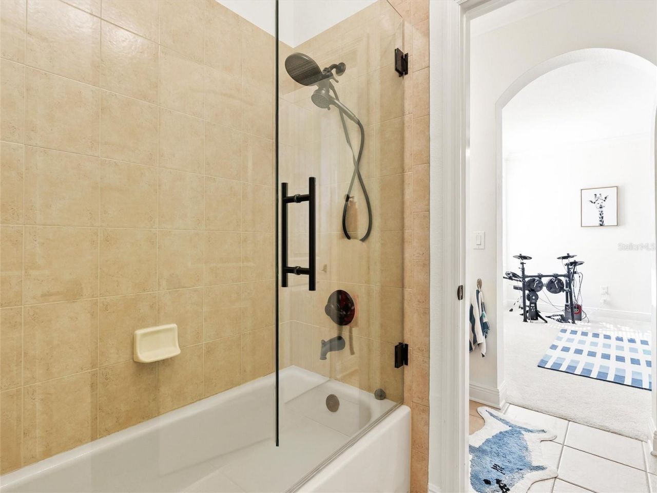 17420 Varona Place, Lutz, FL 33548 Photo