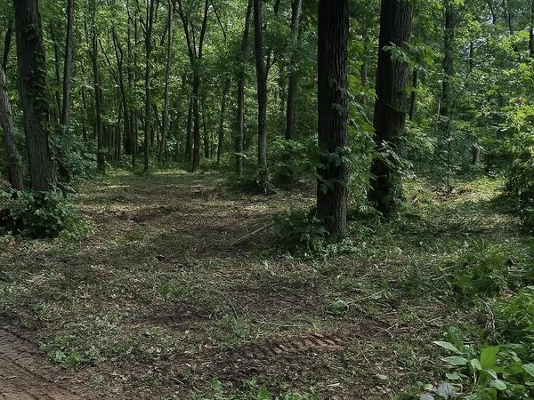 13933 Fairbanks Street, Cedar Lake, IN 46303