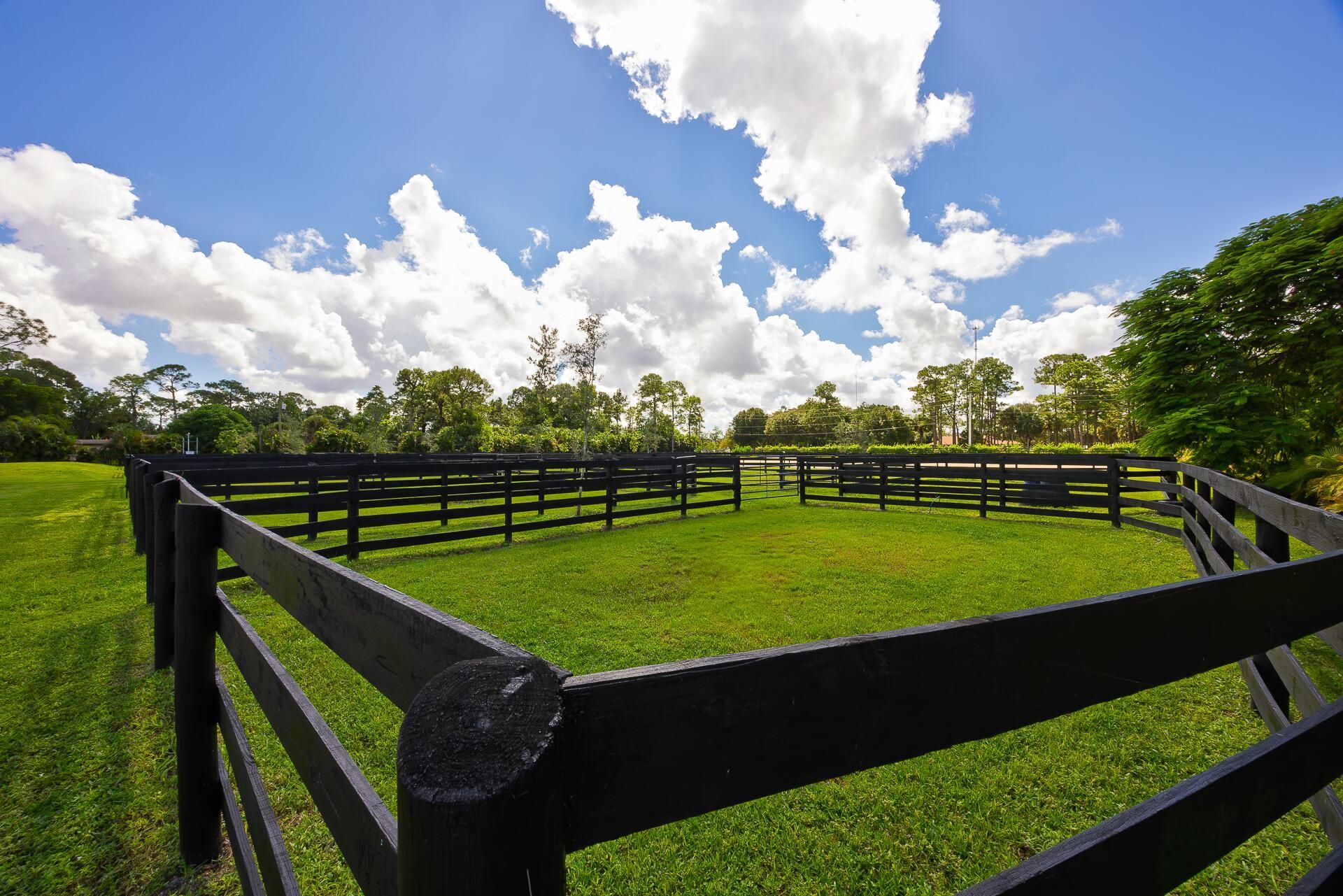 10601 Tamis Trail, Unit (Stalls), Lake Worth, FL 33449 Photo