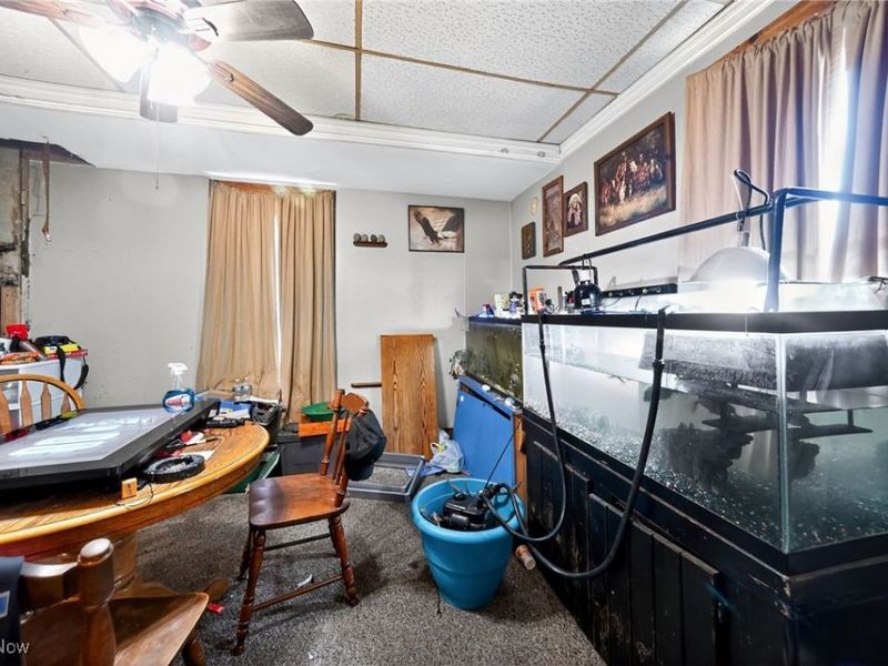 134 E Main Street, Plymouth, OH 44865 Photo 22