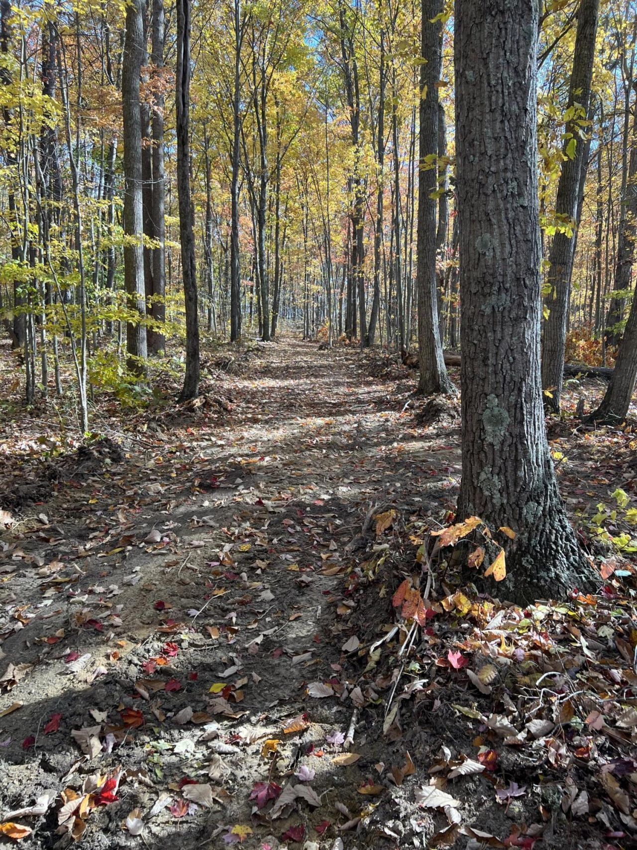 2222 Bridge Rock Road, Lot #2222, Mc Kee, KY 40447 Main Photo