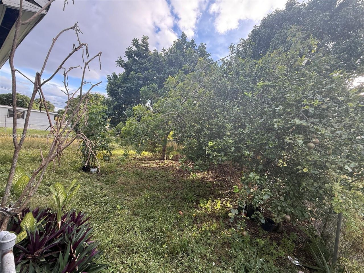 9100 Broad Manor Rd, Miami, FL 33147 Photo