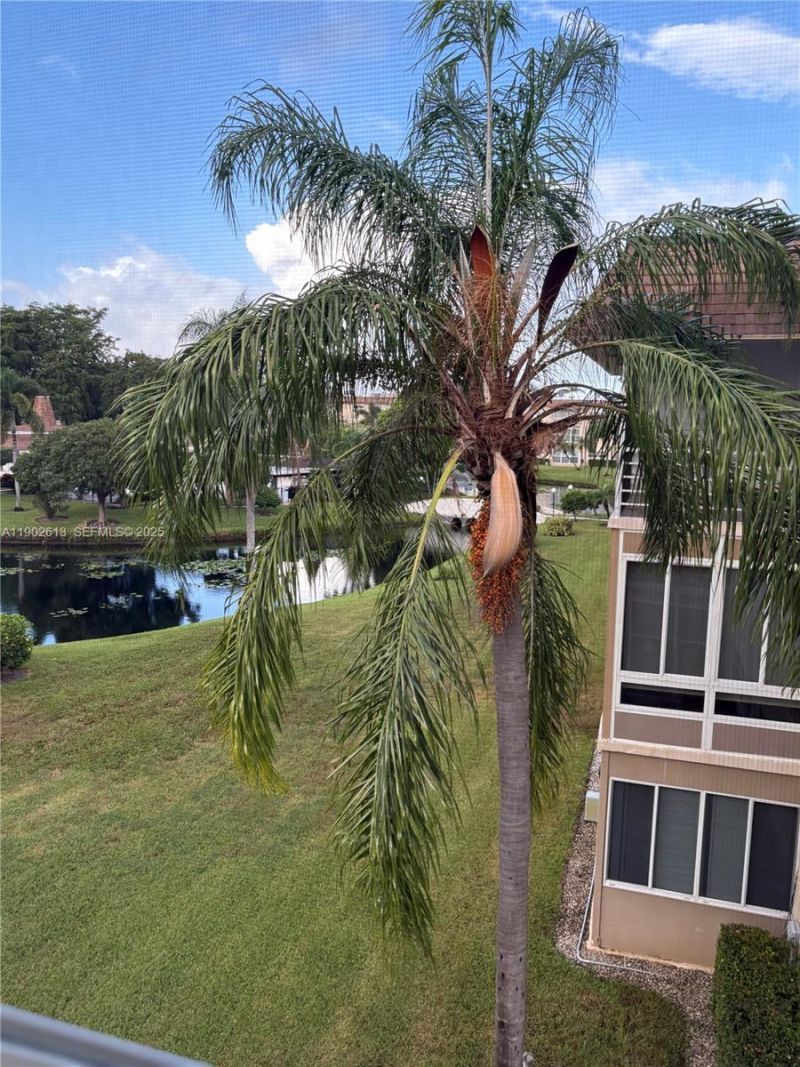 4700 NW 35th St, Unit 602, Lauderdale Lakes, FL 33319 Photo