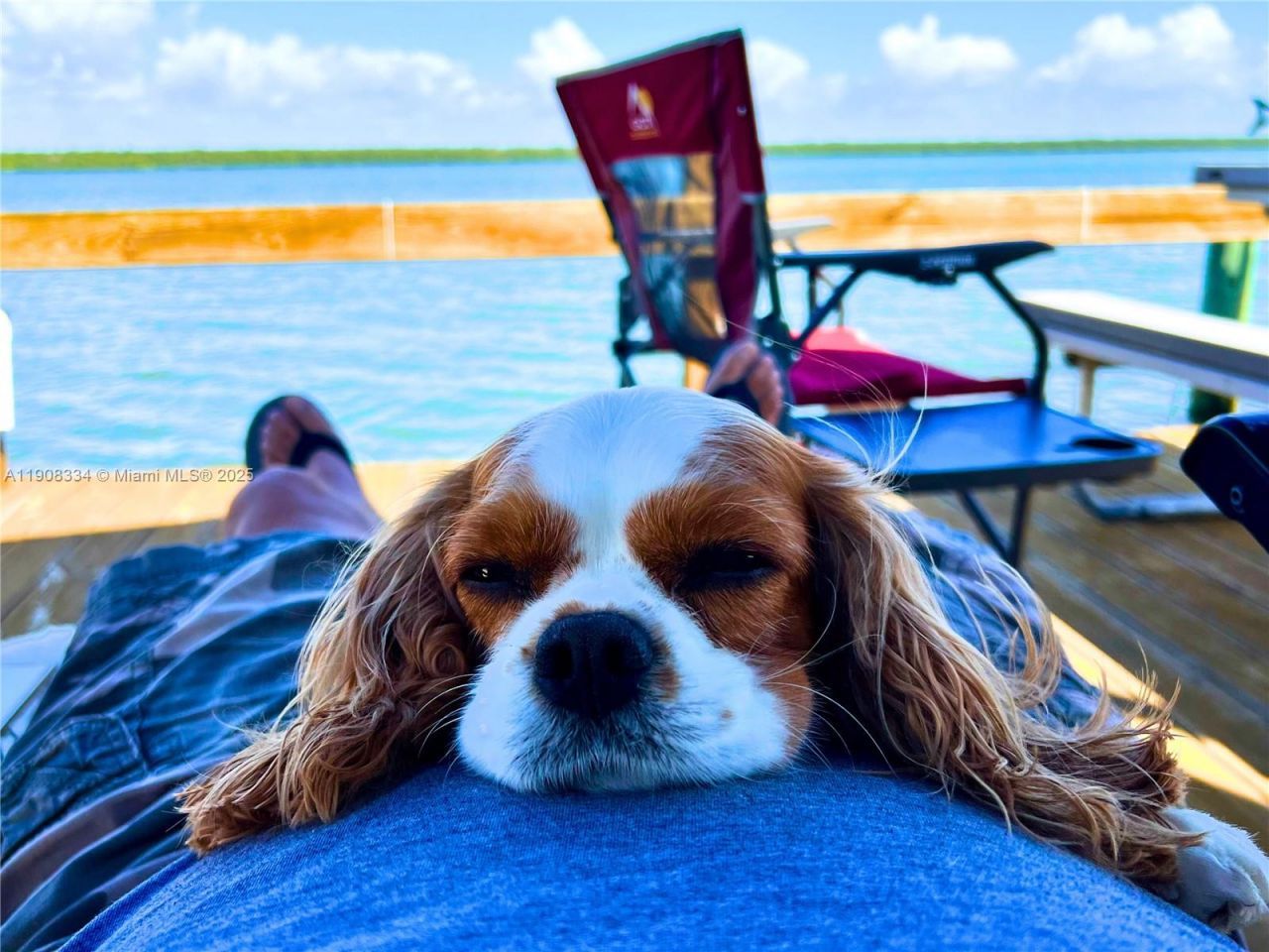 150 Smallwood Dr., Unit 147, Chokoloskee, FL 34138 Photo