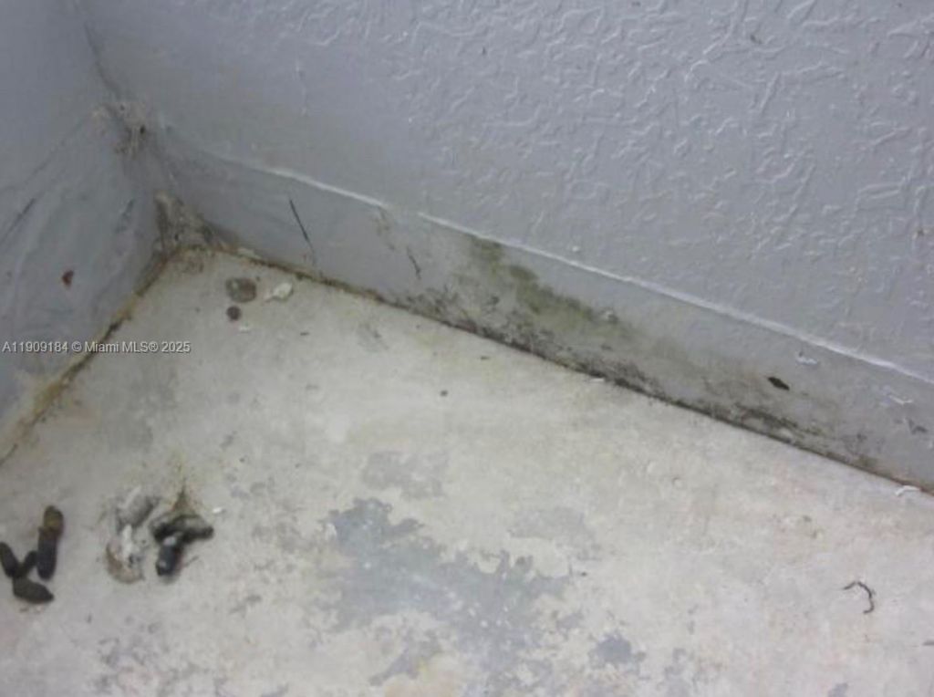 2800 NW 9th Pl, Fort Lauderdale, FL 33311 Photo