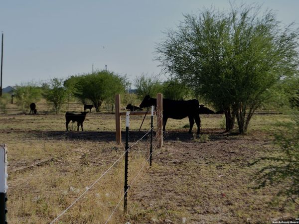 3211 CR 301, Knippa, TX 78870