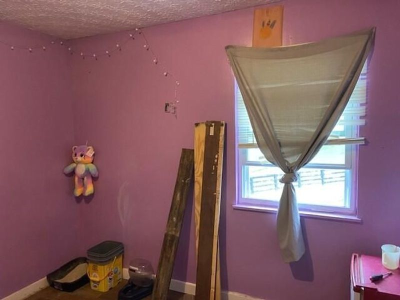 134 Thistle Ridge Lane, Mount Olivet, KY 41064 Photo 10