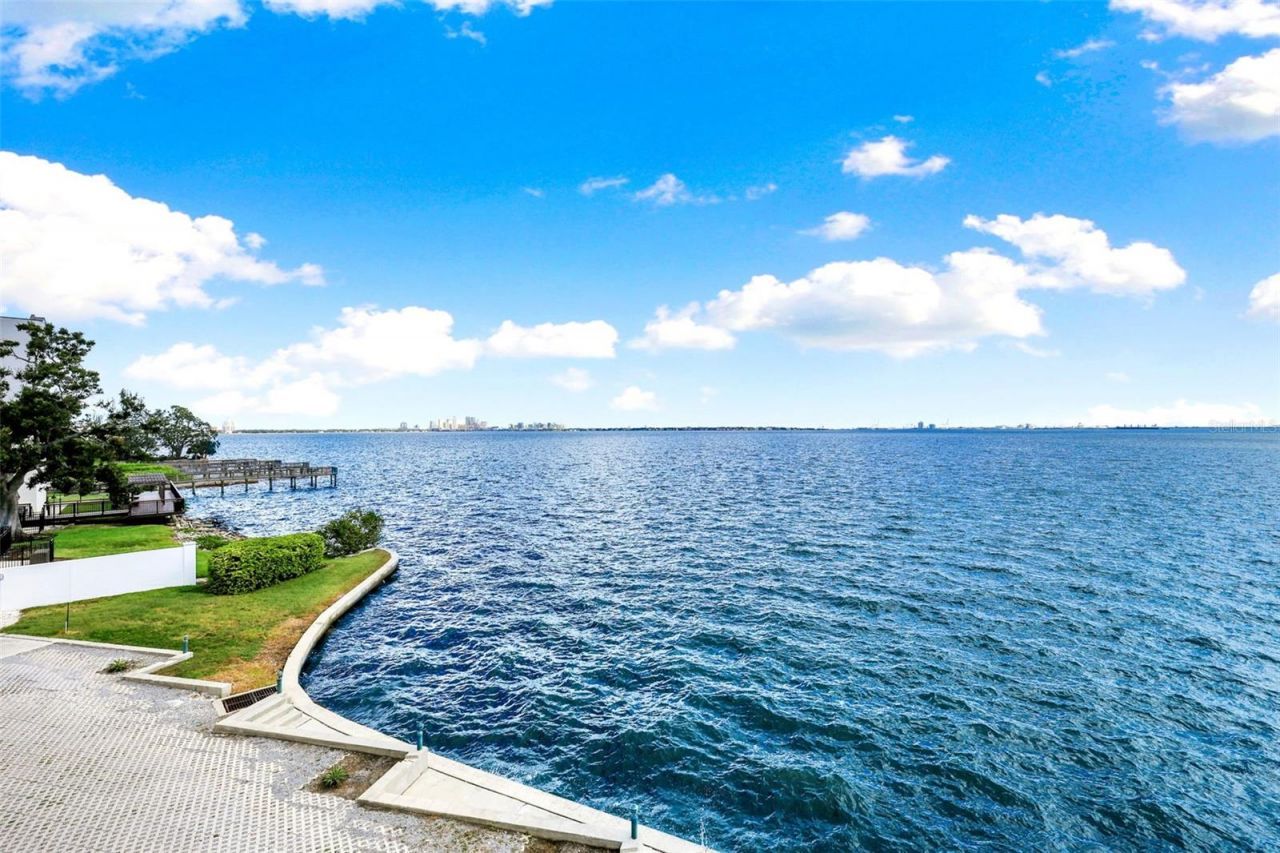 4950 Bayshore Boulevard, Unit 23, Tampa, FL 33611 Photo