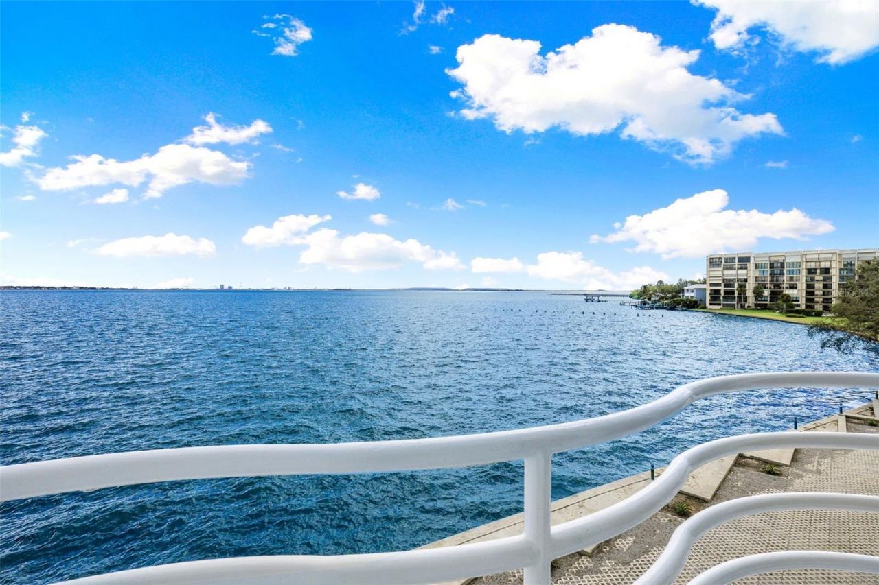 4950 Bayshore Boulevard, Unit 23, Tampa, FL 33611 Photo