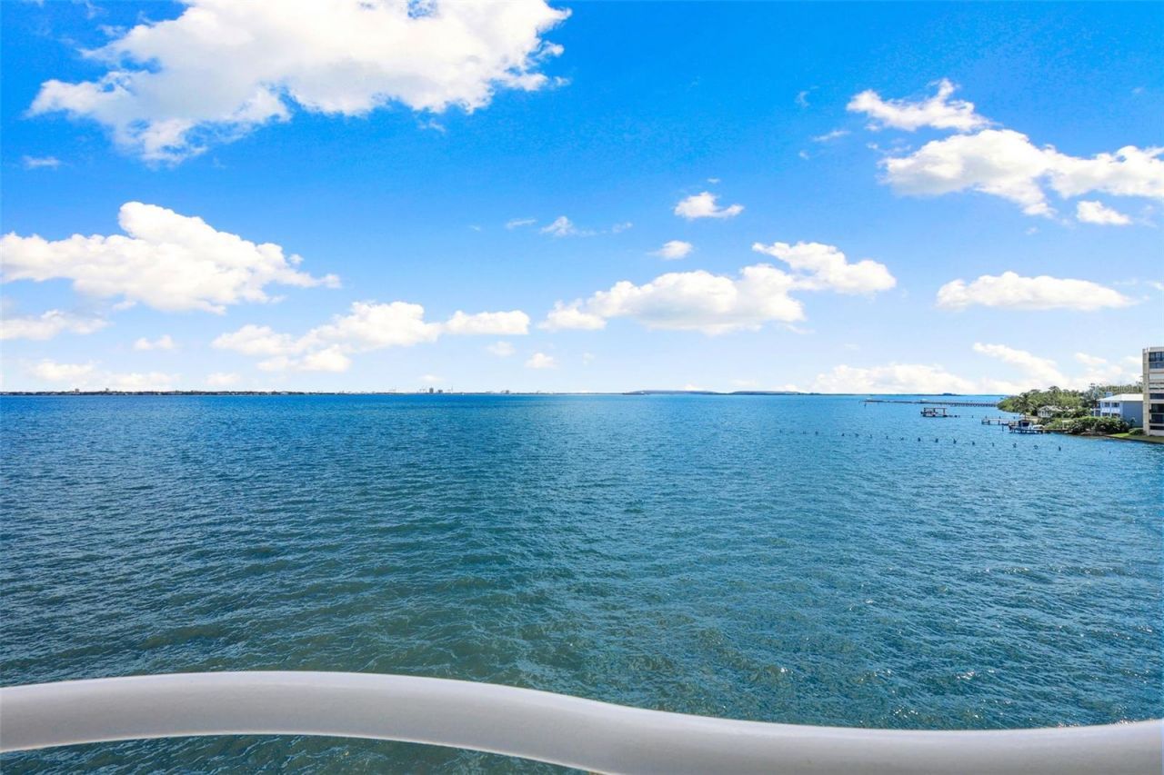 4950 Bayshore Boulevard, Unit 23, Tampa, FL 33611 Photo