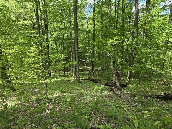 McClish aka Bigge, Copemish, MI 49625