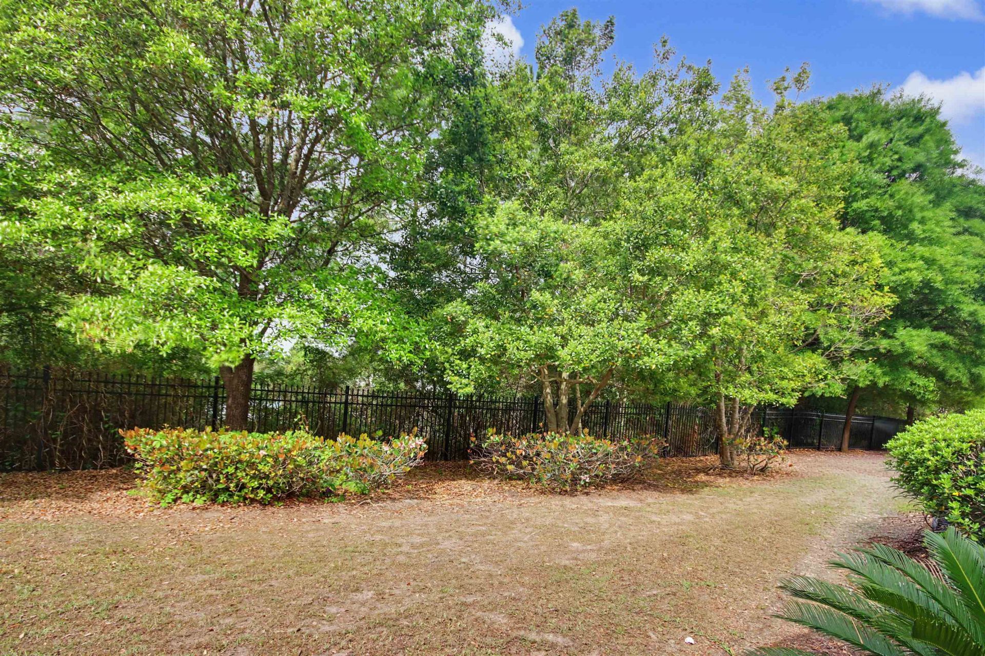 113 Olde Town Way Photo 29