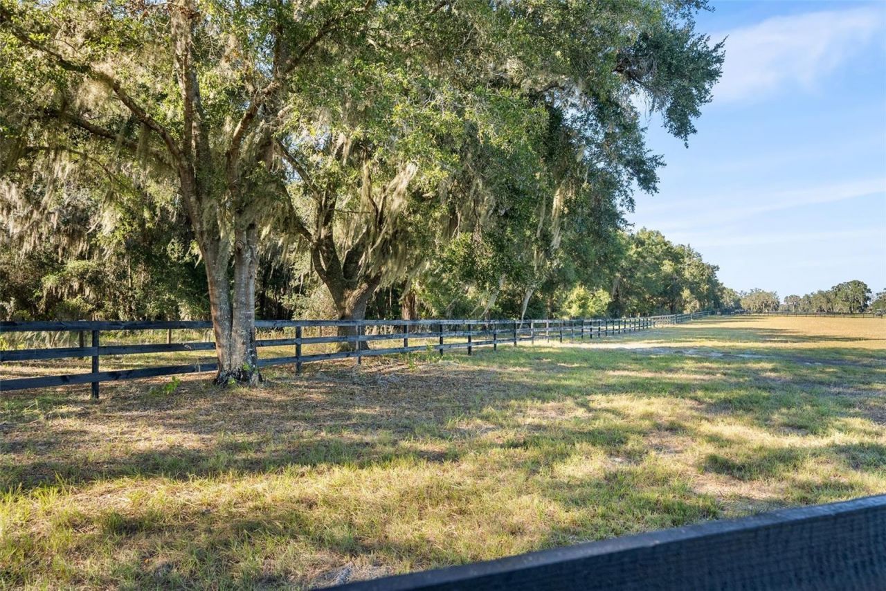 12793 SW 138th Loop, Dunnellon, FL 34432 Photo
