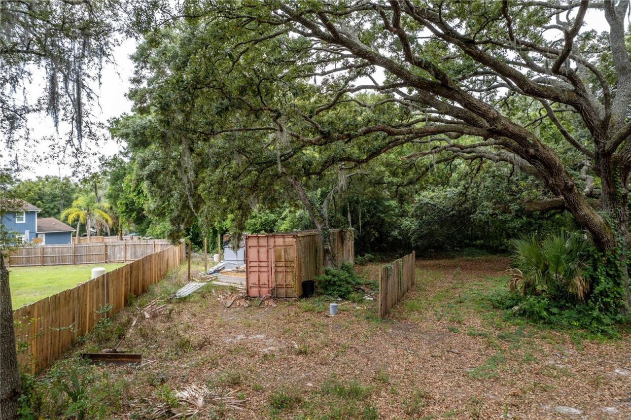 Sorrento Avenue, Mount Plymouth, FL 32776 Photo