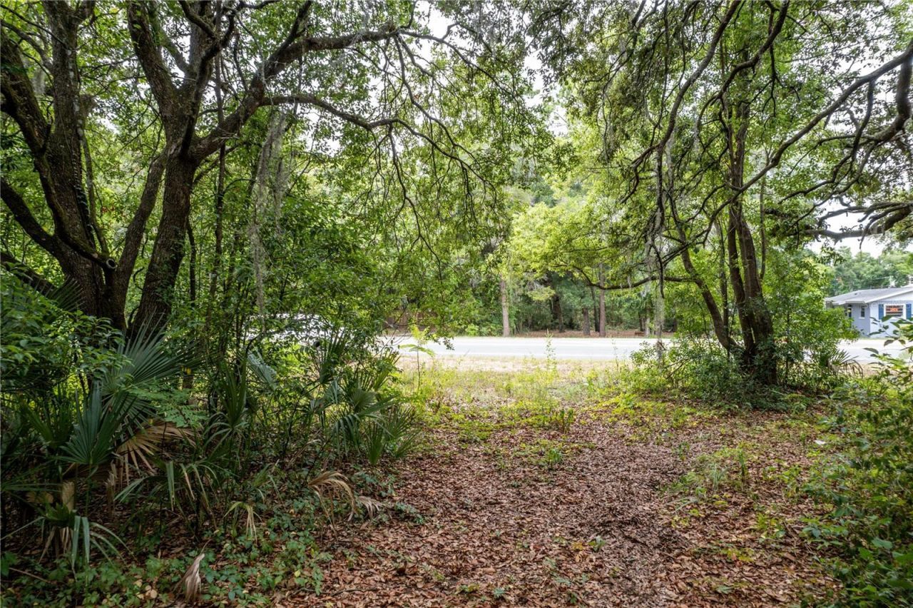 Sorrento Avenue, Mount Plymouth, FL 32776 Photo