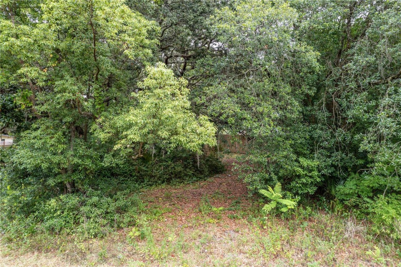 Sorrento Avenue, Mount Plymouth, FL 32776 Photo