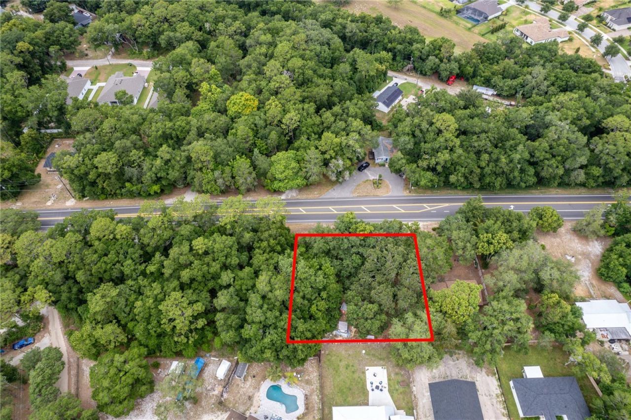 Sorrento Avenue, Mount Plymouth, FL 32776 Photo