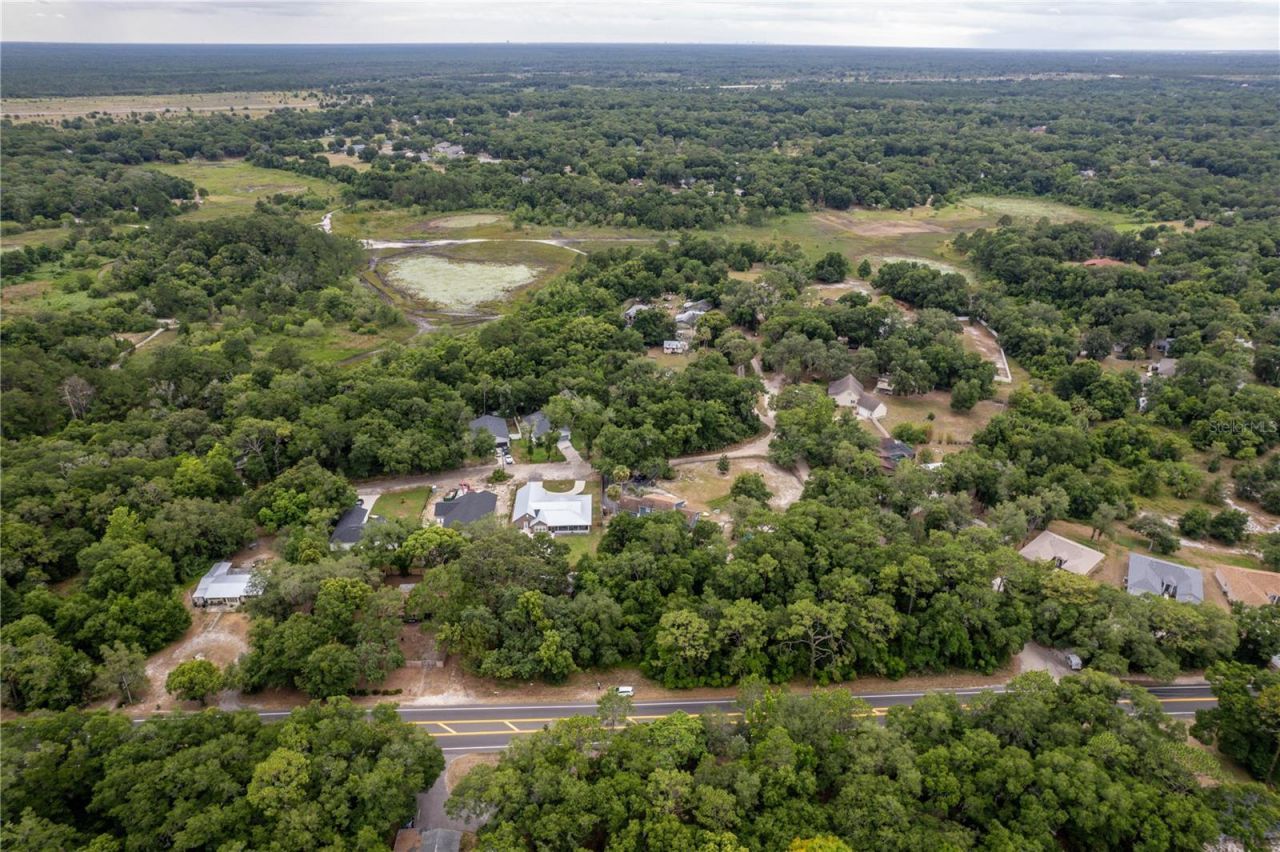 Sorrento Avenue, Mount Plymouth, FL 32776 Photo