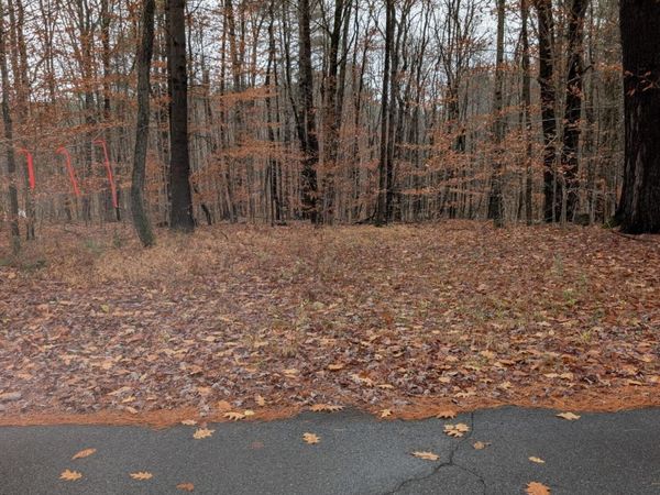 L18.100 North Road, Benson, NY 12134