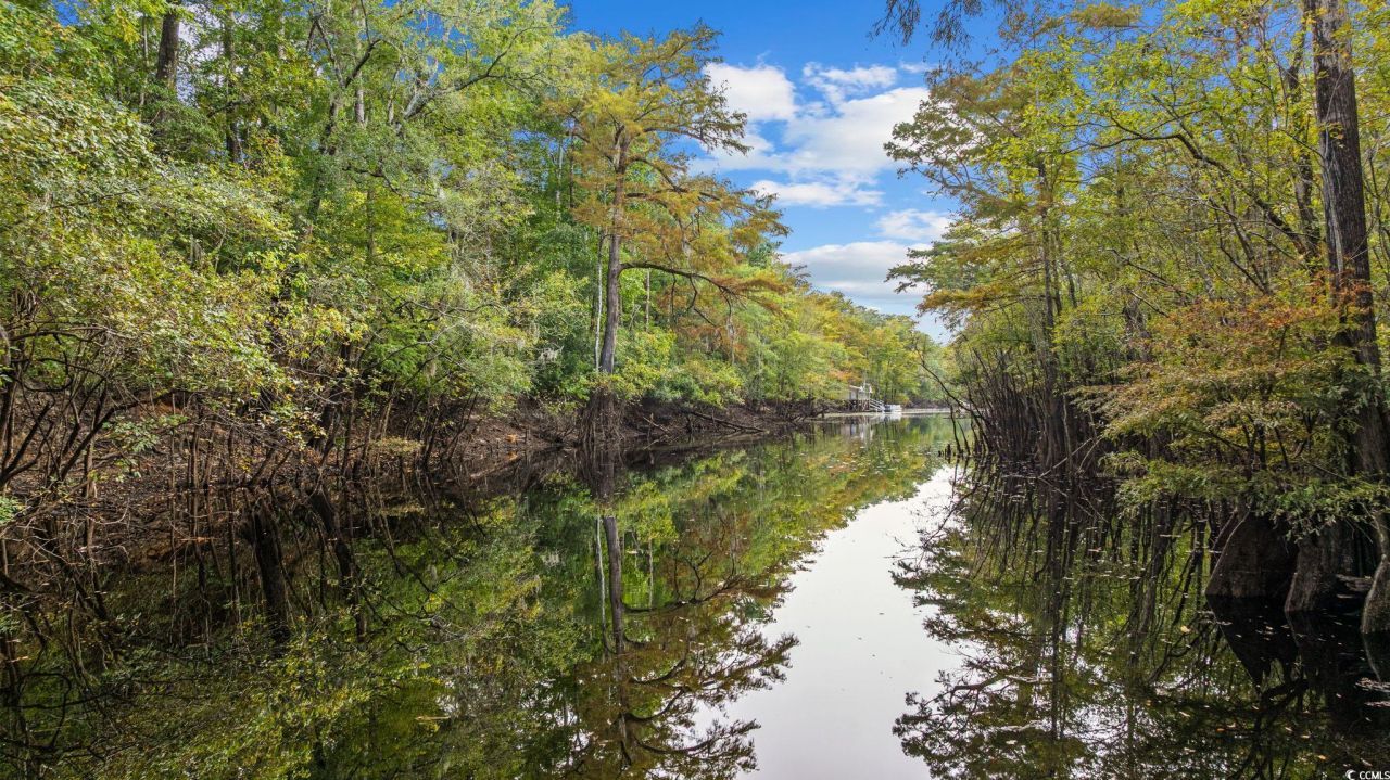 278 Rivers Edge Dr. Photo 37