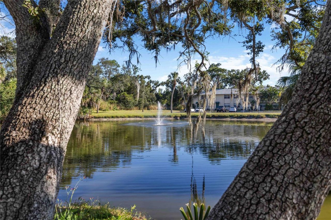 4885 Rilma Avenue, Unit 131, Sarasota, FL 34234 Photo