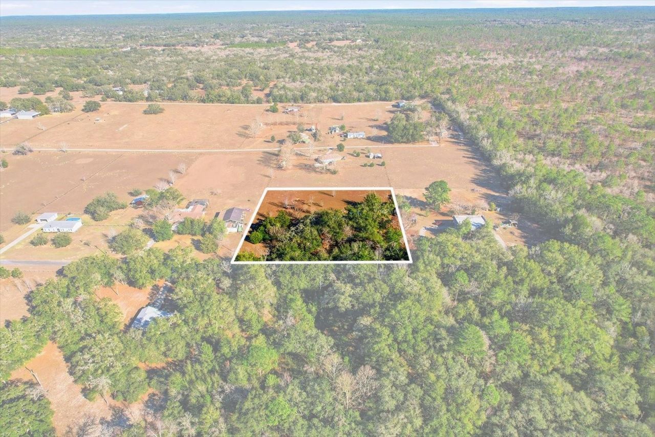 7425 S Irma Point, Lecanto, FL 34461 Photo