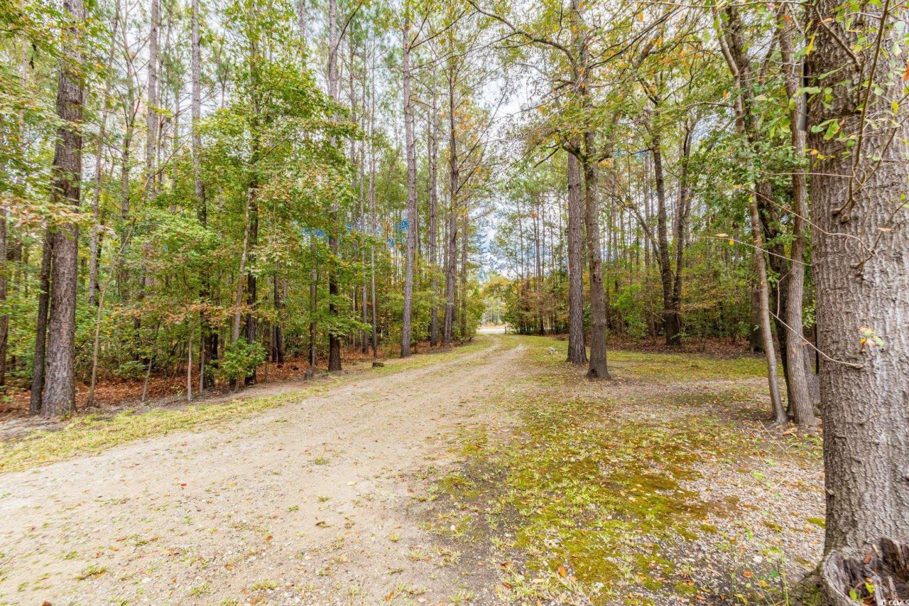 799 Redmond Ct. Photo 5