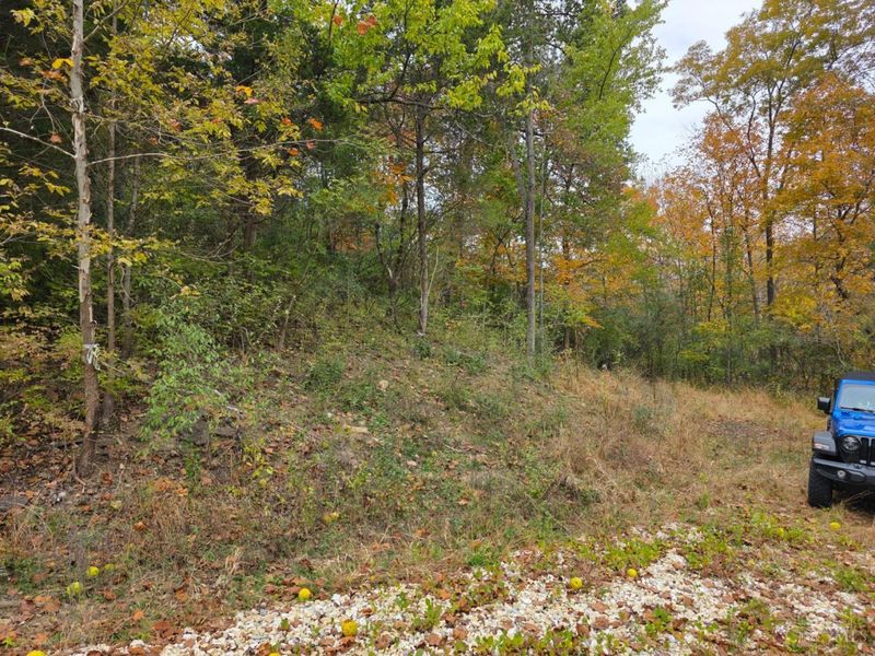 10485 New Biddinger Road, Harrison Twp, OH 45030 Photo 5