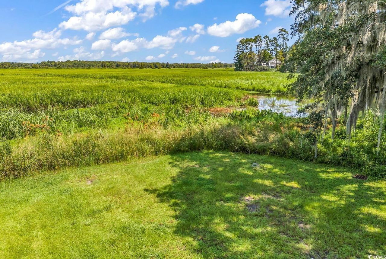 87 Vineyard Place Photo 35