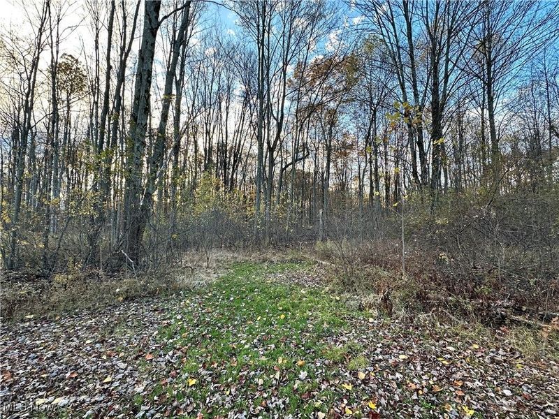 651 Parker Road, Aurora, OH 44202 Photo 43