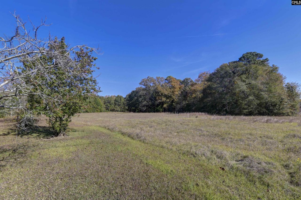 5346 Augusta Highway Photo 12