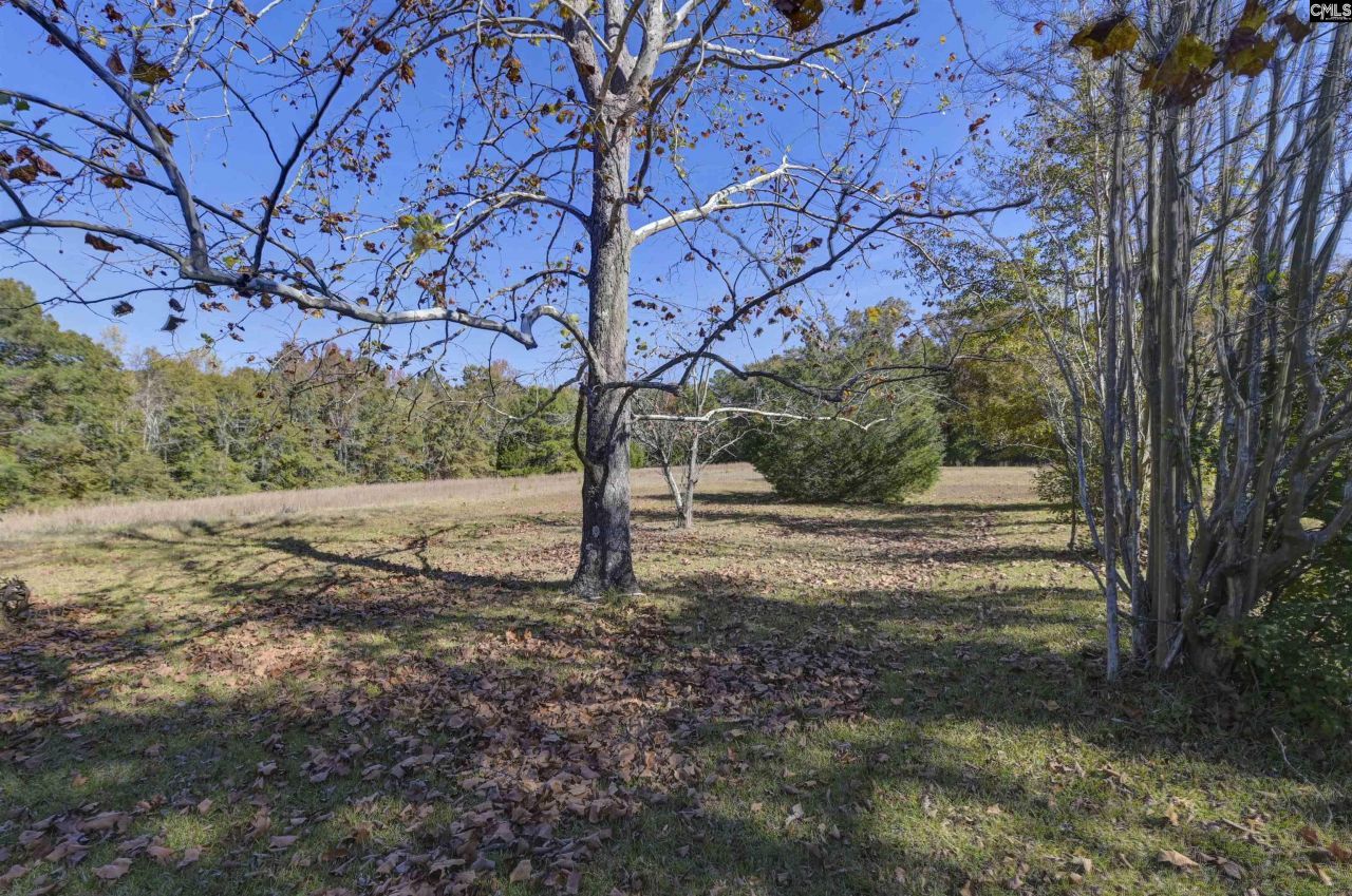 5346 Augusta Highway Photo 25