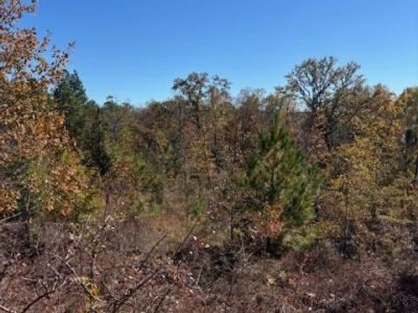 5038 Aggravashun Circle, Wagener, SC 29164