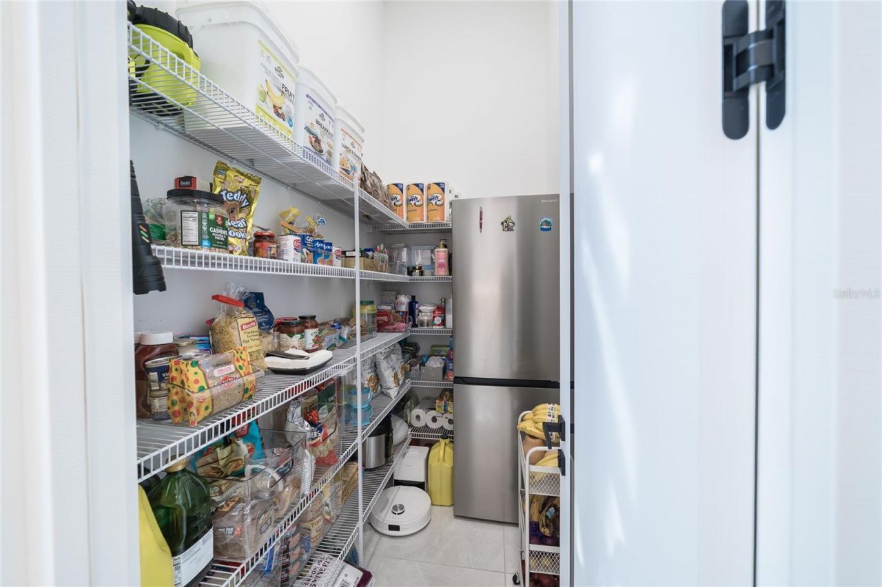 34135 Tompion Way, Wesley Chapel, FL 33543 Photo