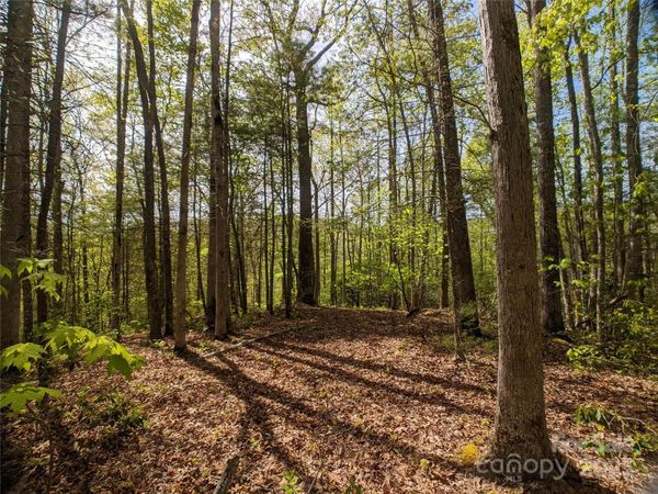 1156 Bear River Lodge Trail, Marshall, NC 28753