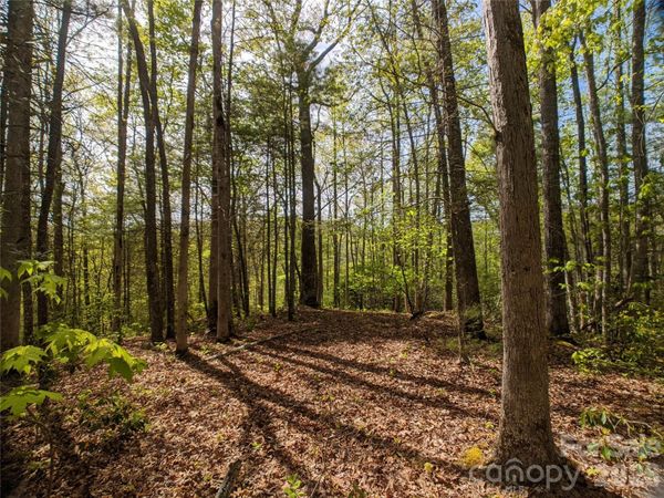 1156 Bear River Lodge Trail, Marshall, NC 28753