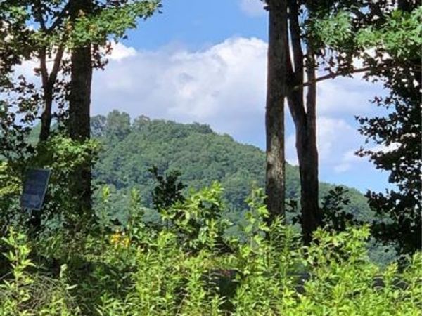 2046 Amy Creek Circle, Ellijay, GA 30540
