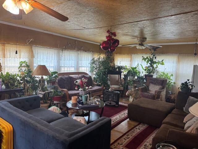 118 Leslie Circle Photo 7