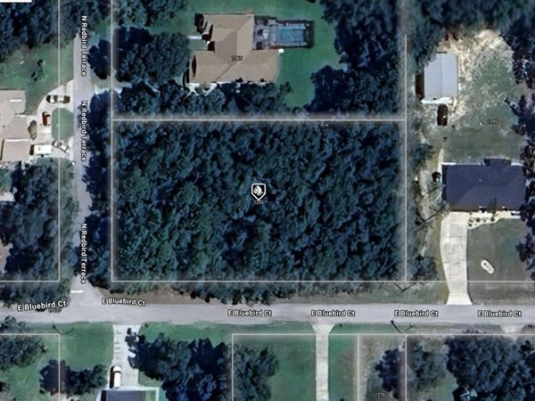 1255 E BLUEBIRD COURT, HERNANDO, FL 34442