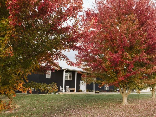 1637 E 541st Road , Brighton, MO 65617