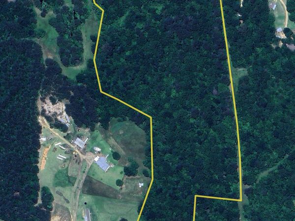 E-S Drive, Braxton, MS 39044