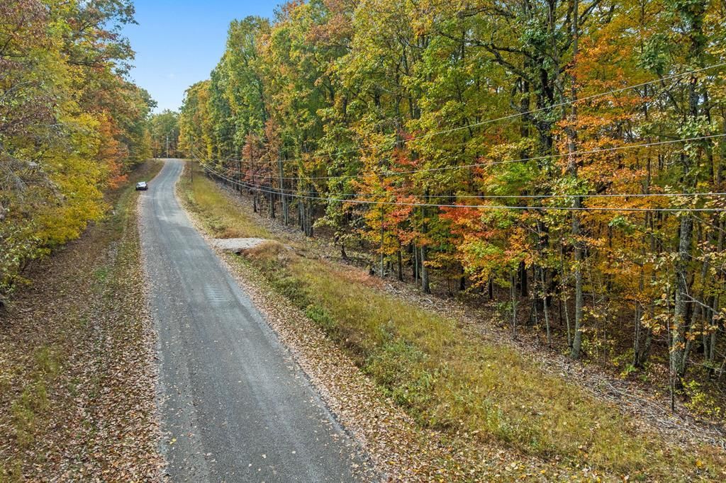 461 Cove Road, Monterey, TN 38574 Main Photo