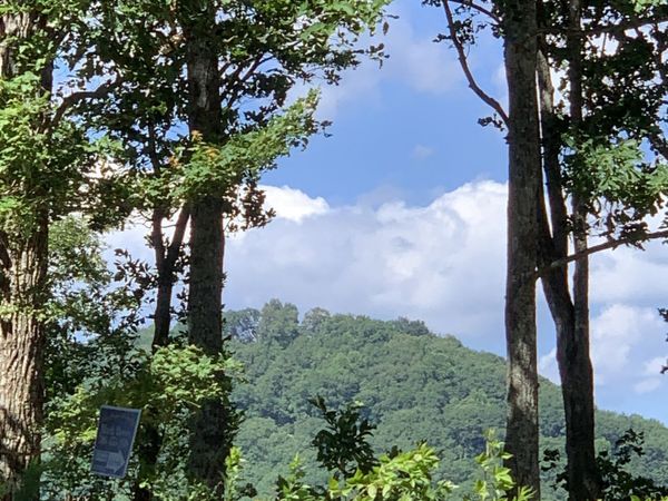 2046 Amy Creek Circle, Unit 34, Ellijay, GA 30540