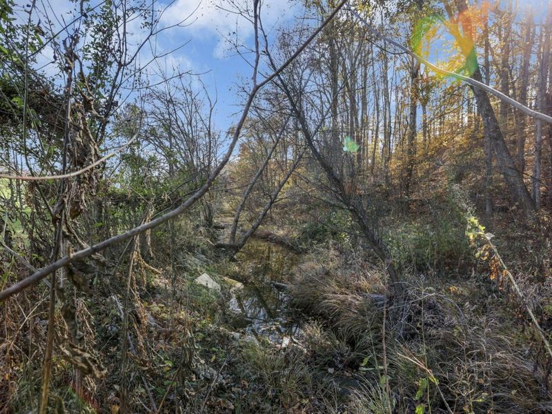 62766 Dunkle Creek Road, Creola, OH 45622 Photo 66