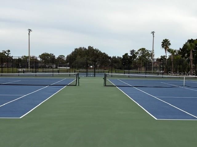 5630 Denver Street Ne, Saint Petersburg, FL 33703 Photo