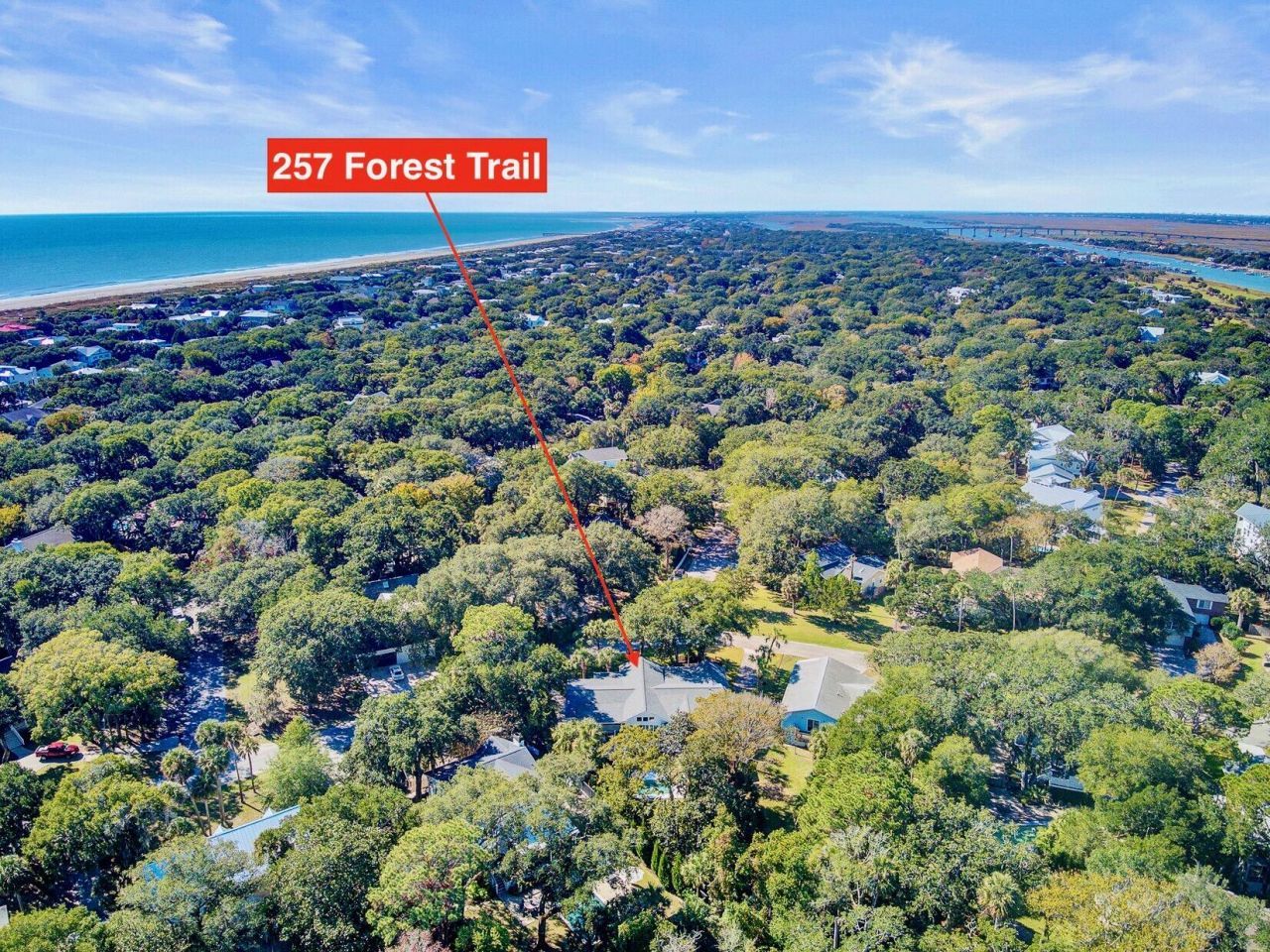 257 Forest Trail Photo 5