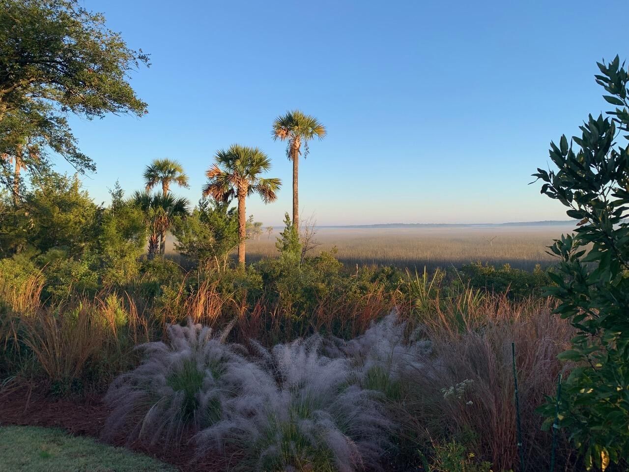 1476 Cat Island Parkway Photo 51